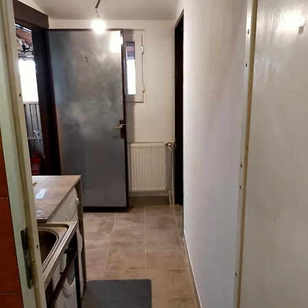 Elena Camere De Inchiriat Bukarest